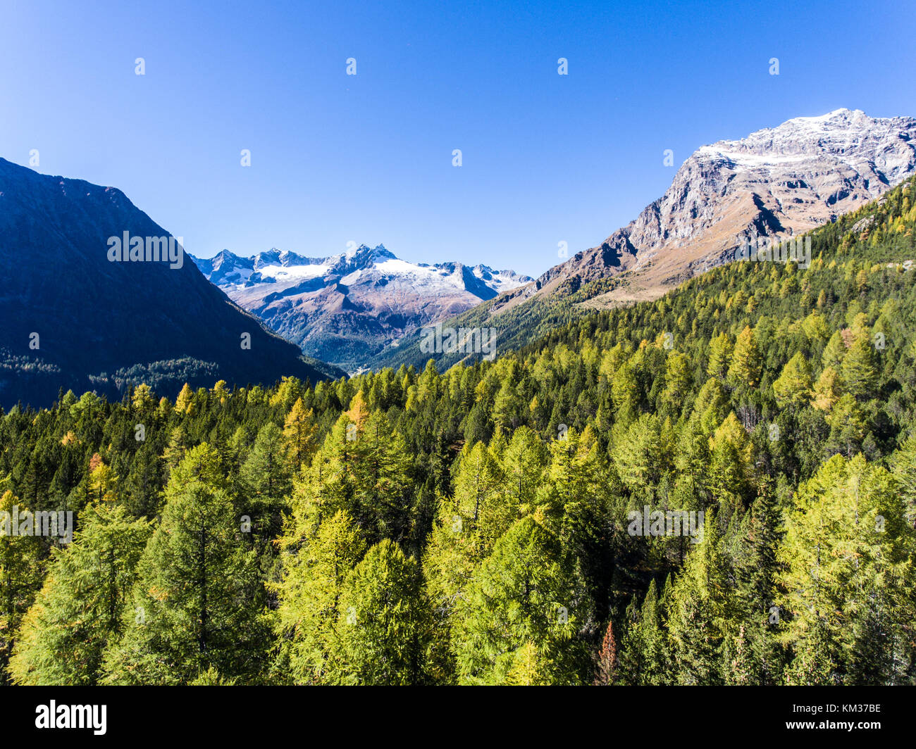 Très beau paysage avec des arbres de montagne, vue aérienne sur la forêt. Alpes italiennes, la Valtellina Banque D'Images