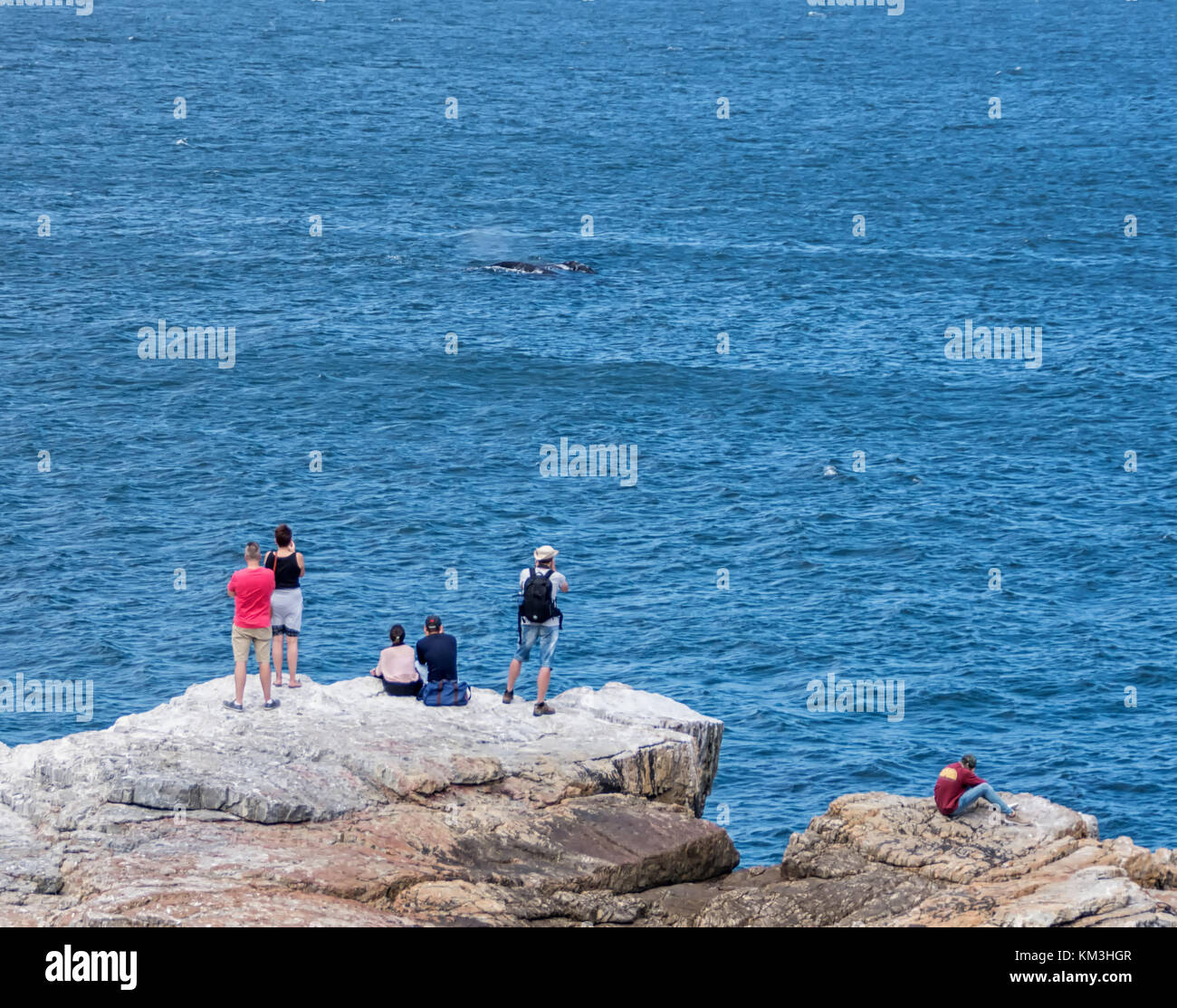 Les touristes à Hermanus, afrique du sud de l'observation des baleines à partir de la rive droite Banque D'Images