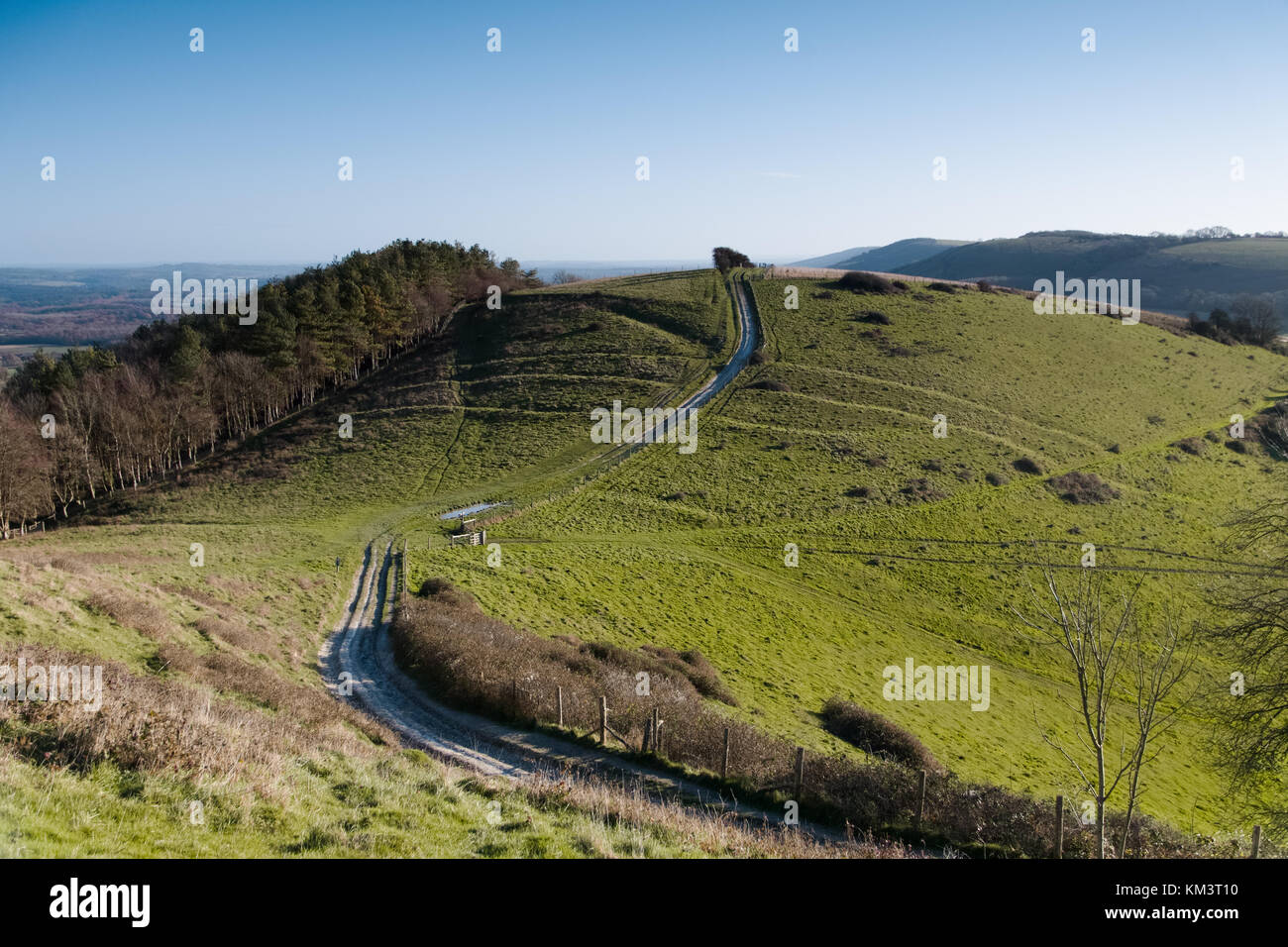 Sentier national des South Downs près de Beacon Hill près de South Harting Hampshire UK Banque D'Images