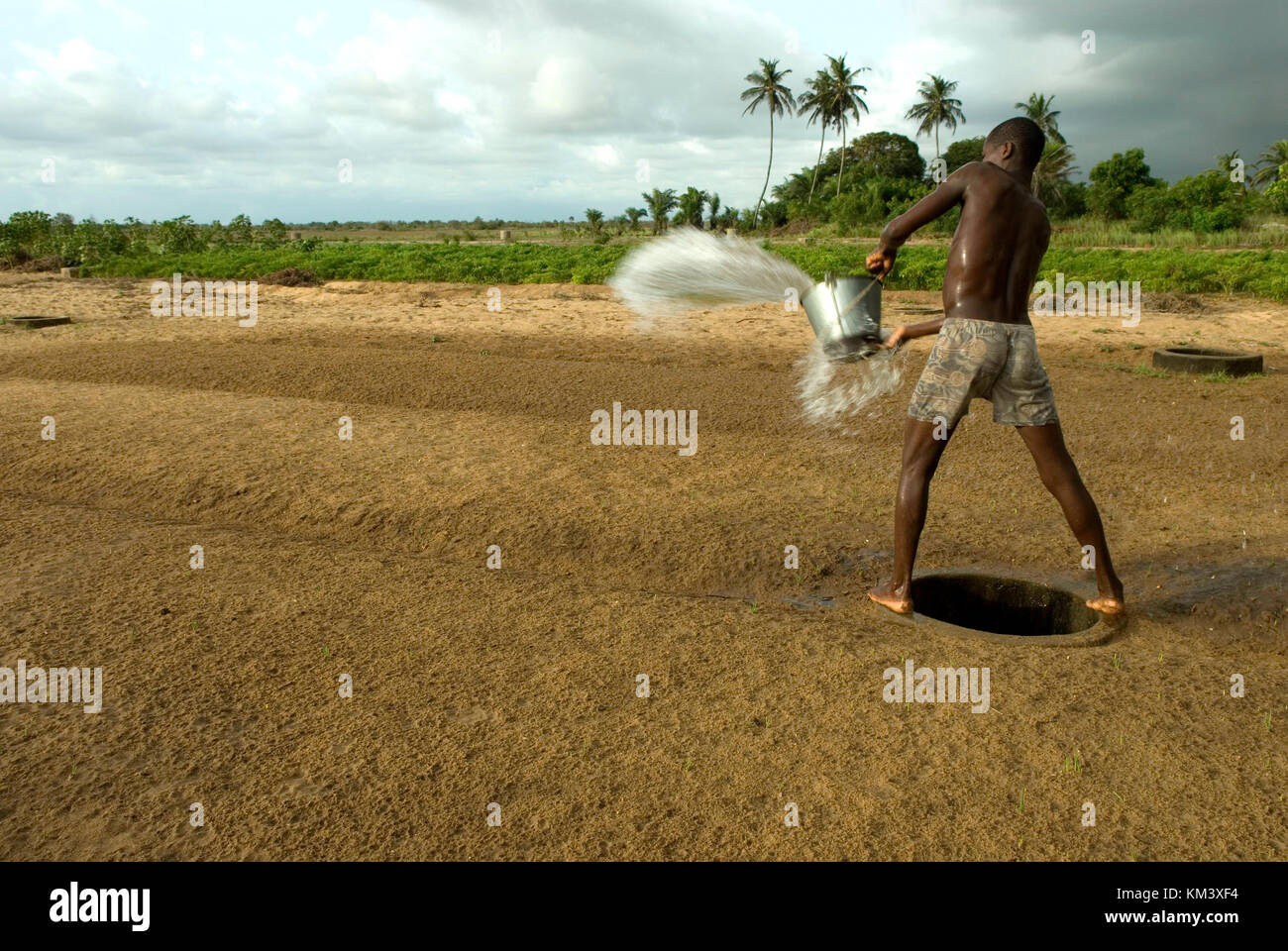 Grâce à l'irrigation sur le terrain peu de puits artésiens, région de la Volta, au Ghana, en Afrique de l'ouest, l'afrique © marco vacca/sintesi/Alamy stock photo *** c local Banque D'Images