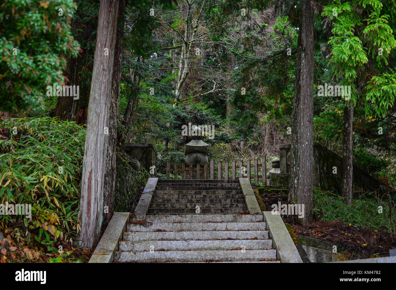 Un ancien cimetière okunoin à tombstone sur mont koya à Wakayama, Japon. Banque D'Images