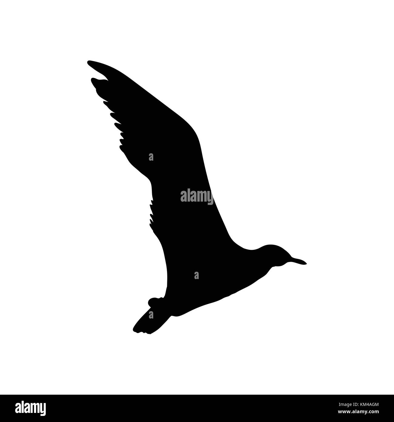 Seagull flying bird silhouette noire isolé sur fond blanc. vector illustration. Illustration de Vecteur