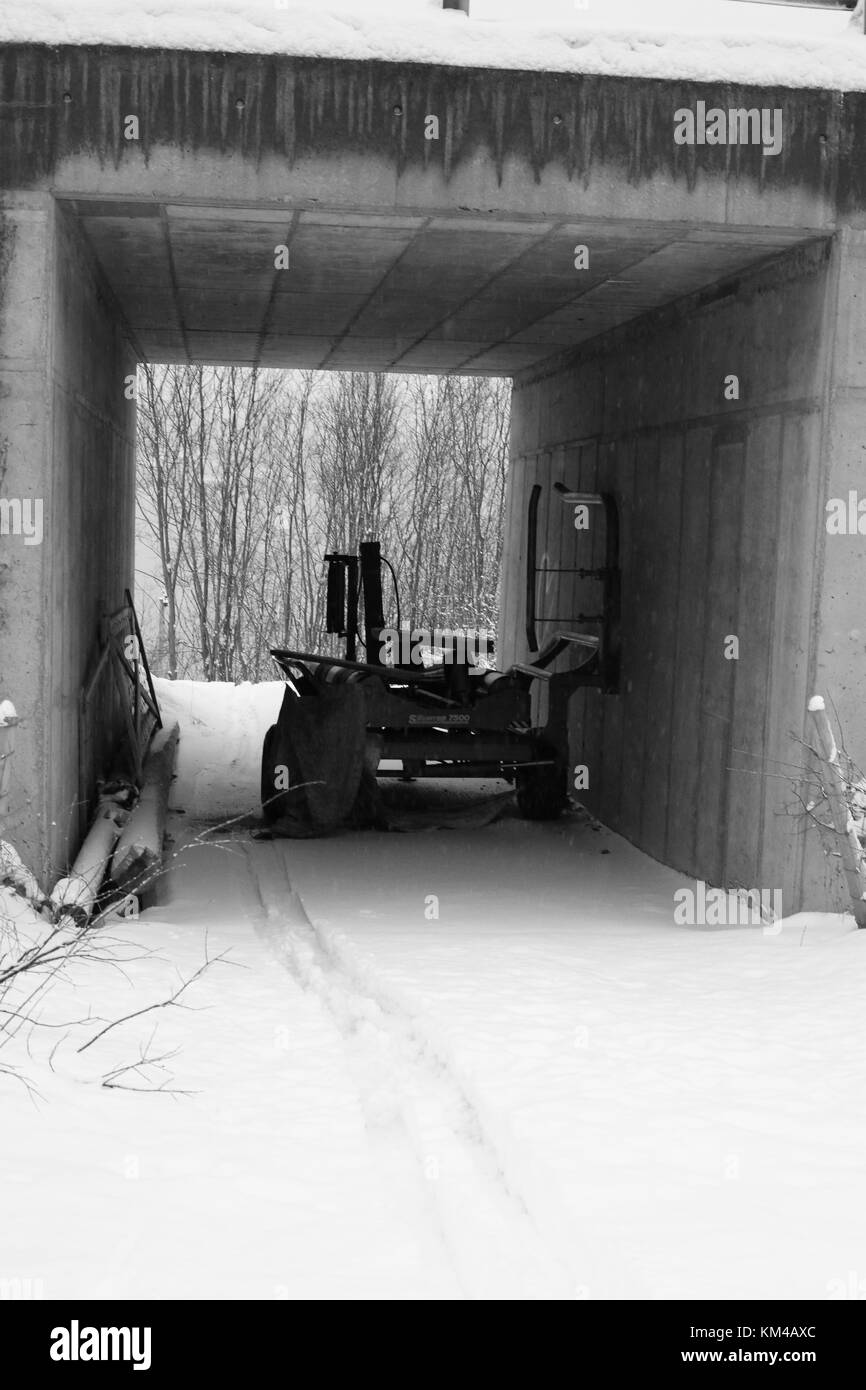 Noir et Blanc Hiver/Ladsacpe , forêt de montagne du nord de la Norvège, de la nuit polaire. Banque D'Images