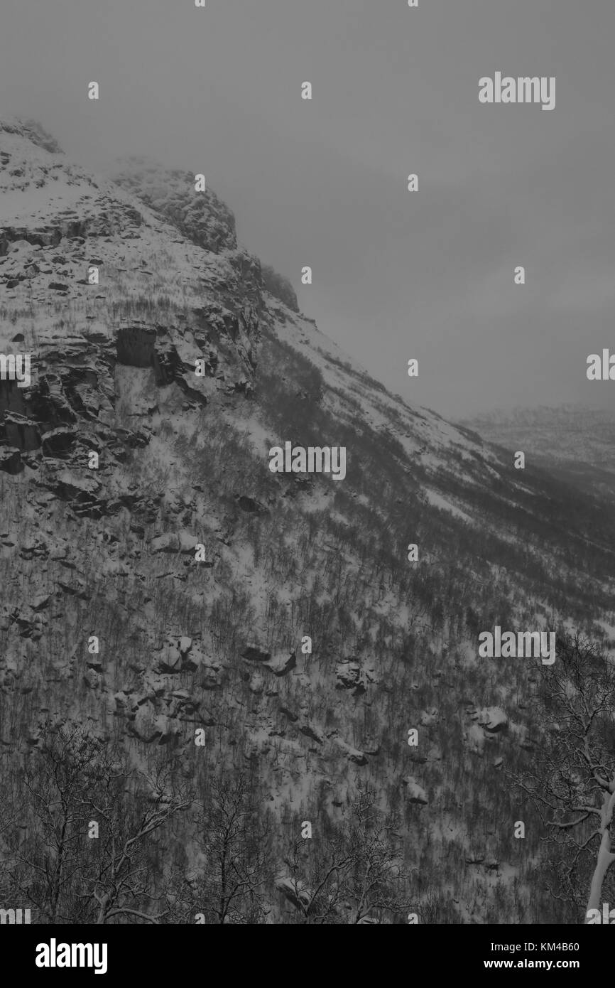 Noir et Blanc Hiver/Ladsacpe , forêt de montagne du nord de la Norvège, de la nuit polaire. Banque D'Images