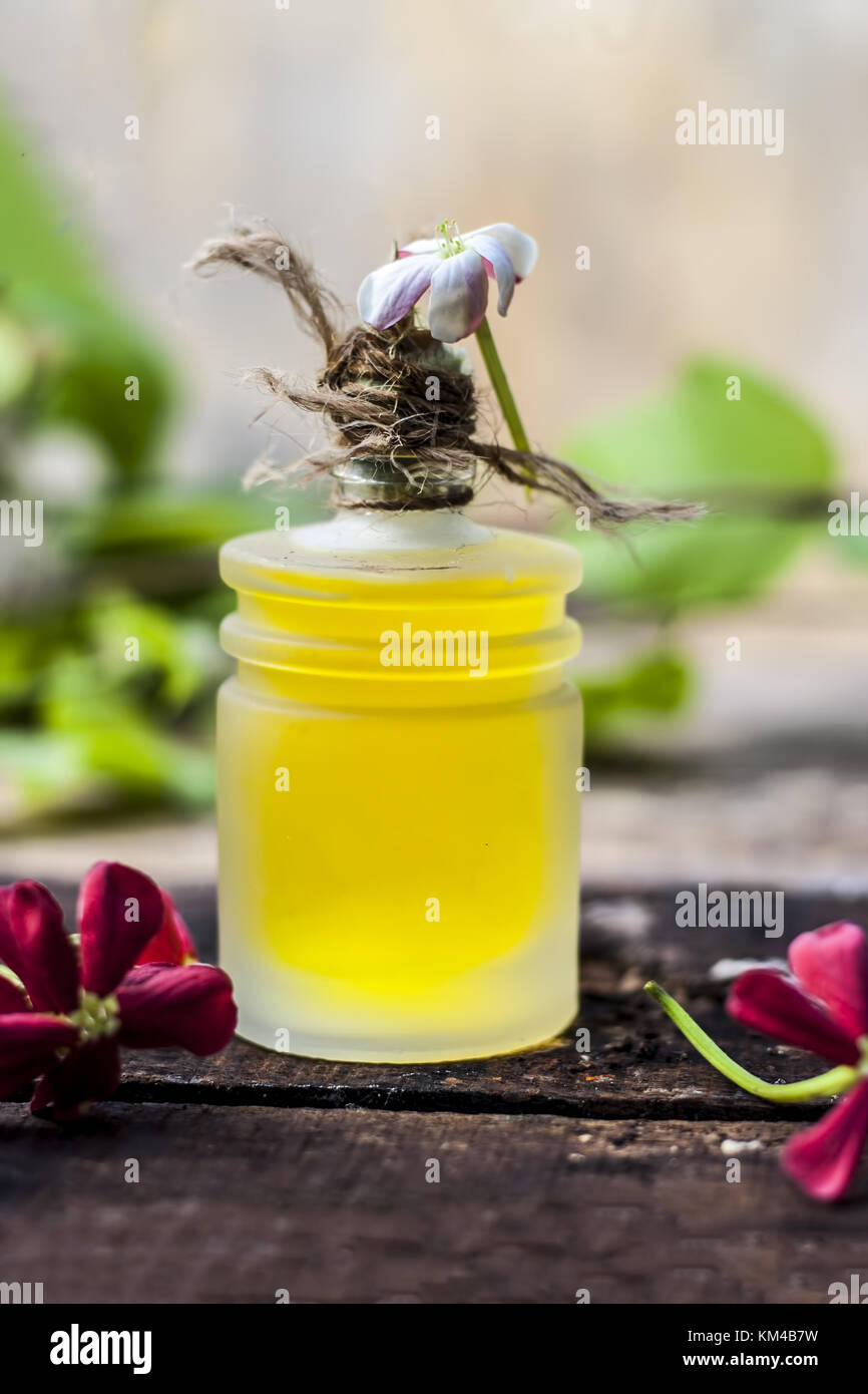 Combretum indicum,rangoon du réducteur de l'huile dans une bouteille de verre sur la surface en bois rustique avec ses fleurs. Banque D'Images