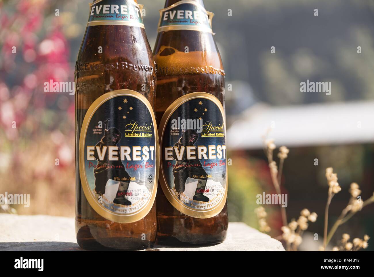 La bière Everest est l'une des bières les plus populaires au Népal. Il est embouteillé dans le pays et est disponible pratiquement partout. (04 décembre 2016) | utilisation dans le monde entier Banque D'Images