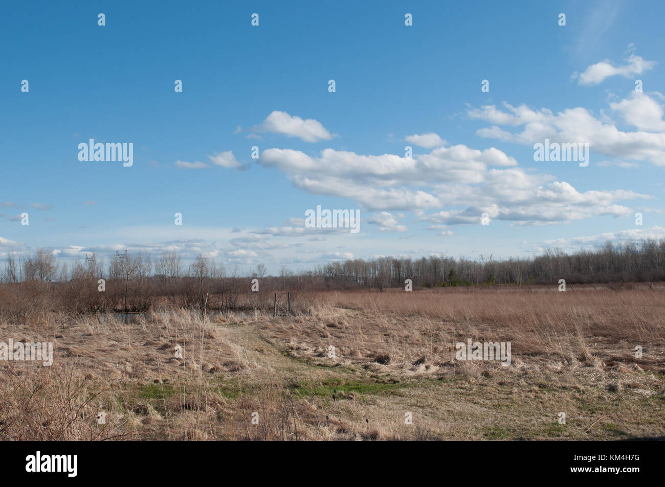 Nuages qui soufflent dans le ciel ouvert, champ nu, début du printemps, sud de l'Ontario, Canada Banque D'Images