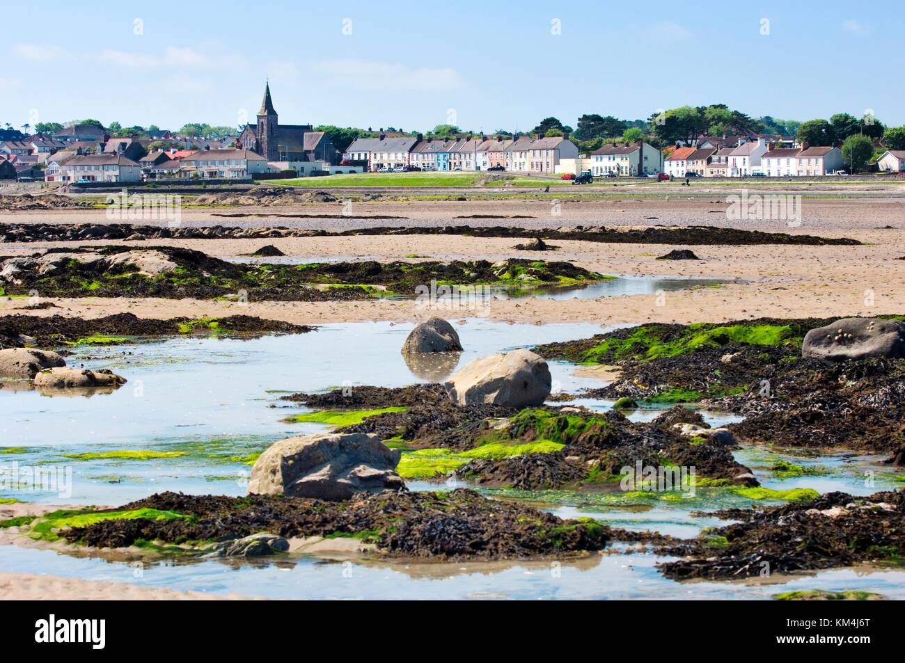 Marée basse sur la plage à ballywalter village sur la côte de la mer irlandaise de la péninsule d'ards, comté de Down, Irlande du Nord. Banque D'Images