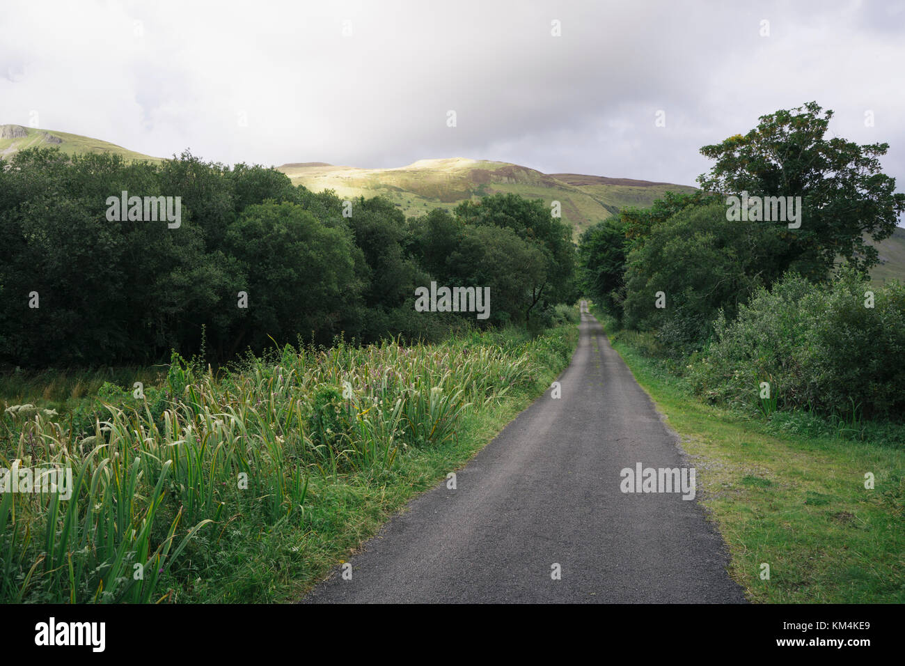 Voie unique rural route près de glenade, County Leitrim, Ireland. Banque D'Images