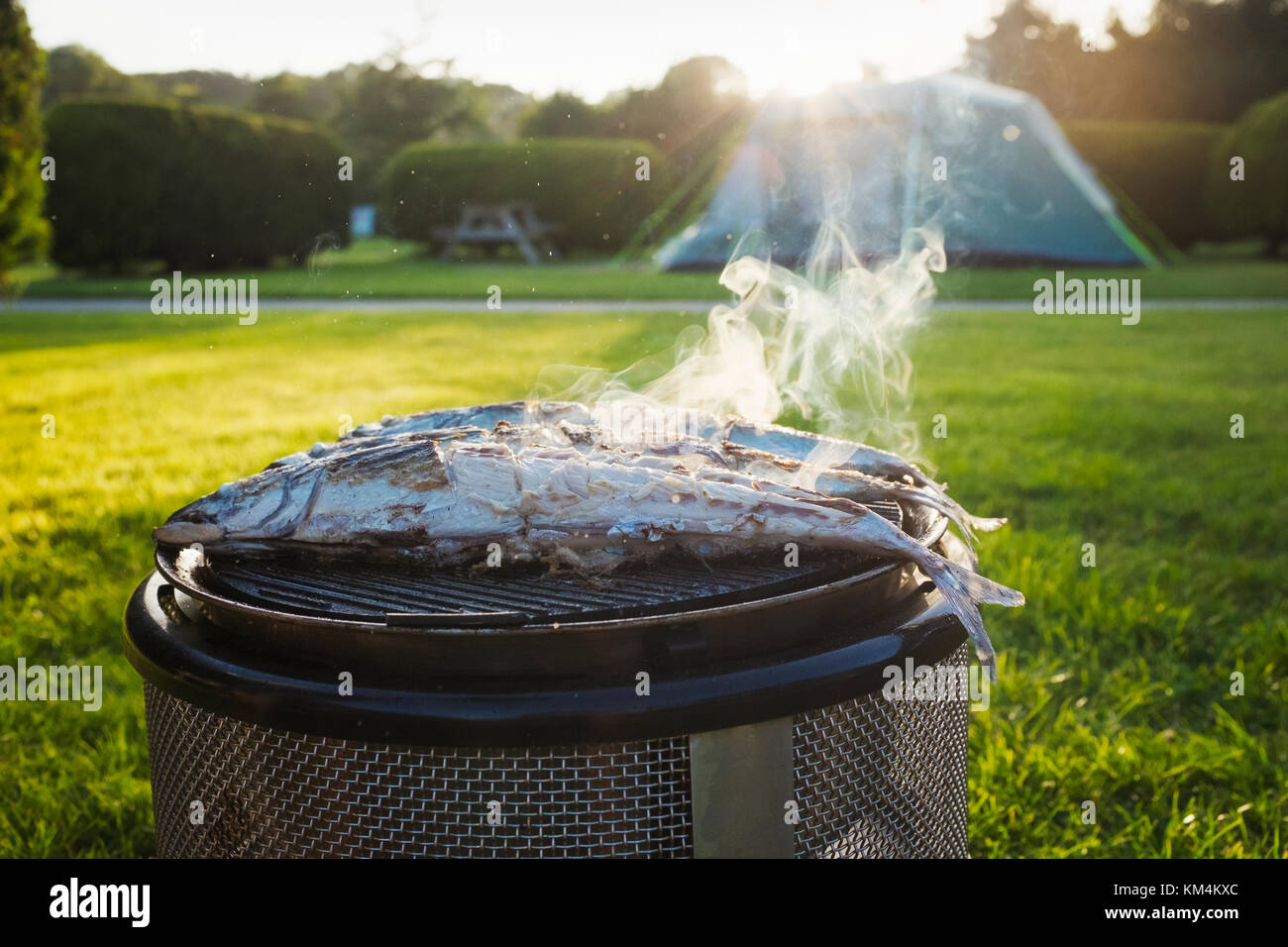 Un petit barbecue avec deux poissons frais sur le grill, le tabagisme et la cuisine. Camping avec dressé des tentes. Banque D'Images