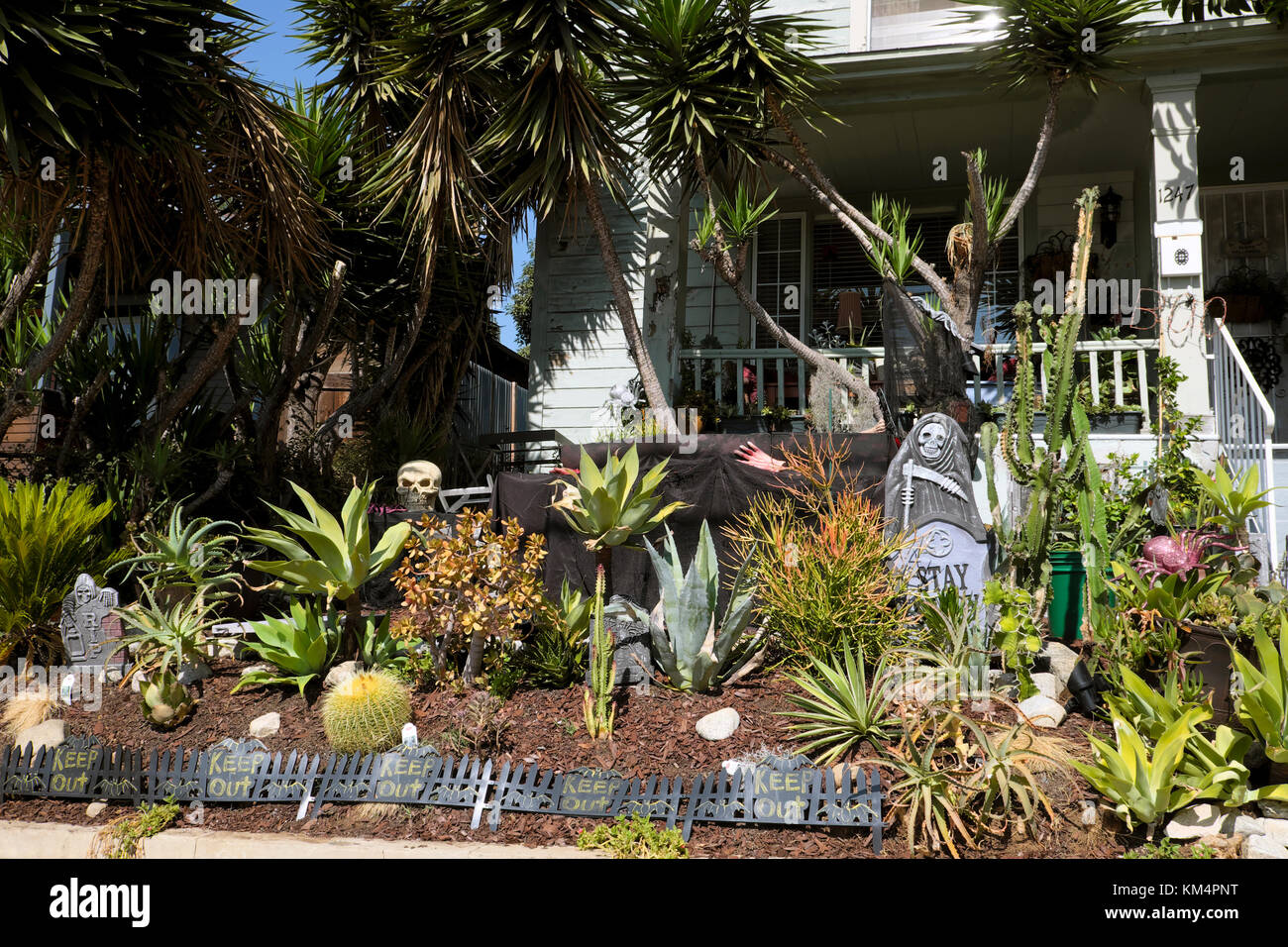 Cour avant d'une maison décorée pour Halloween dans un jardin de cactus et de yuccas dans Echo Park, Los Angeles California USA KATHY DEWITT Banque D'Images
