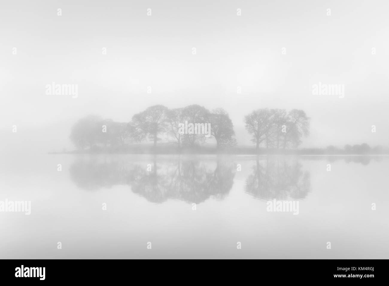 Dawn Esthwaite Water, Cumbria, Royaume-Uni Banque D'Images