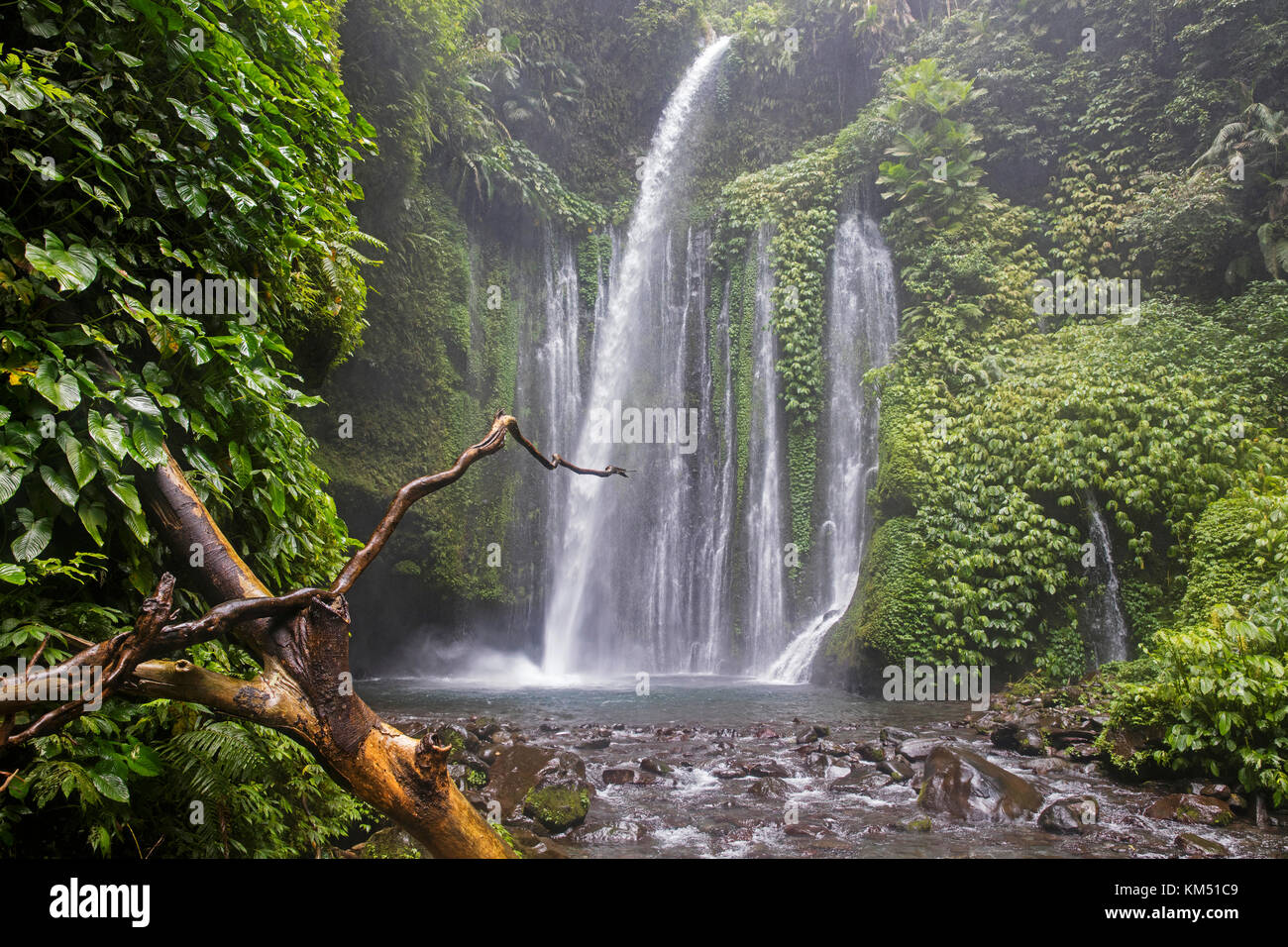 Tiu kelep air terjun senaru chute près de dans la forêt tropicale, sur ...