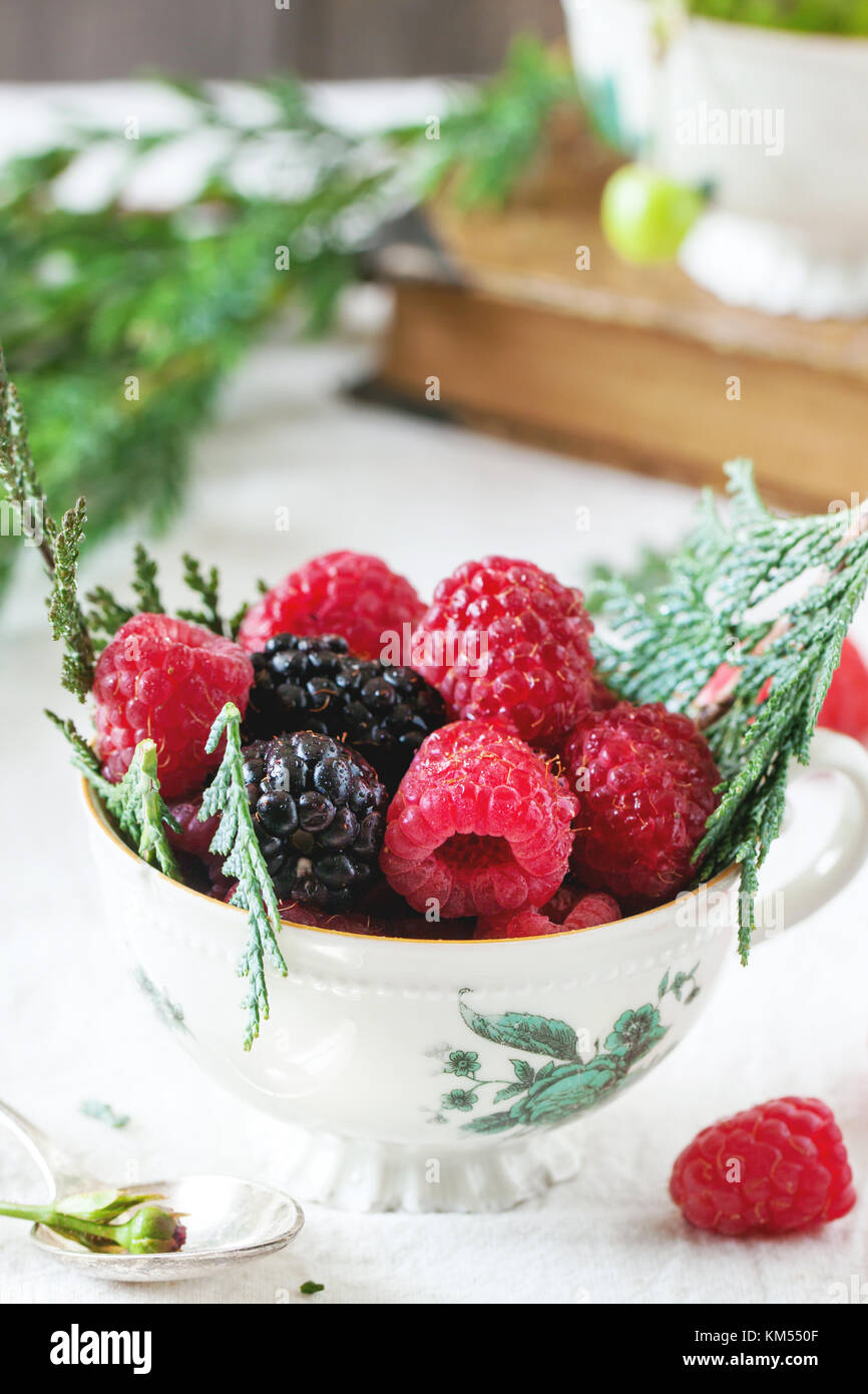Vintage tasse de framboises et mûres servi avec thuja branches et vieux livre sur la table. Banque D'Images