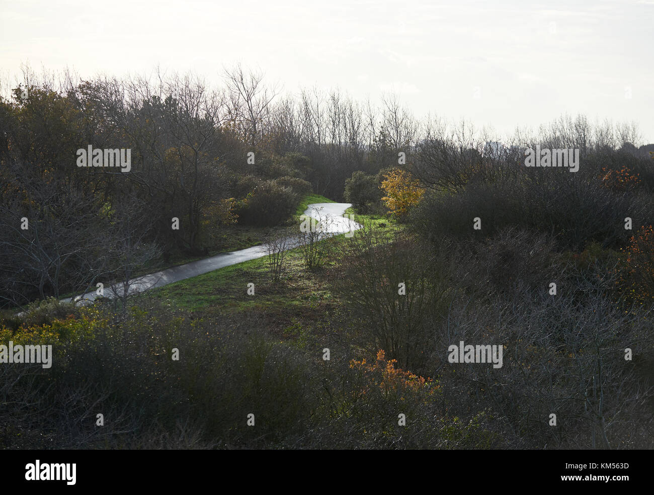 Chemin à travers les dunes à proximité d'un quartier de La Haye, Pays-Bas Banque D'Images
