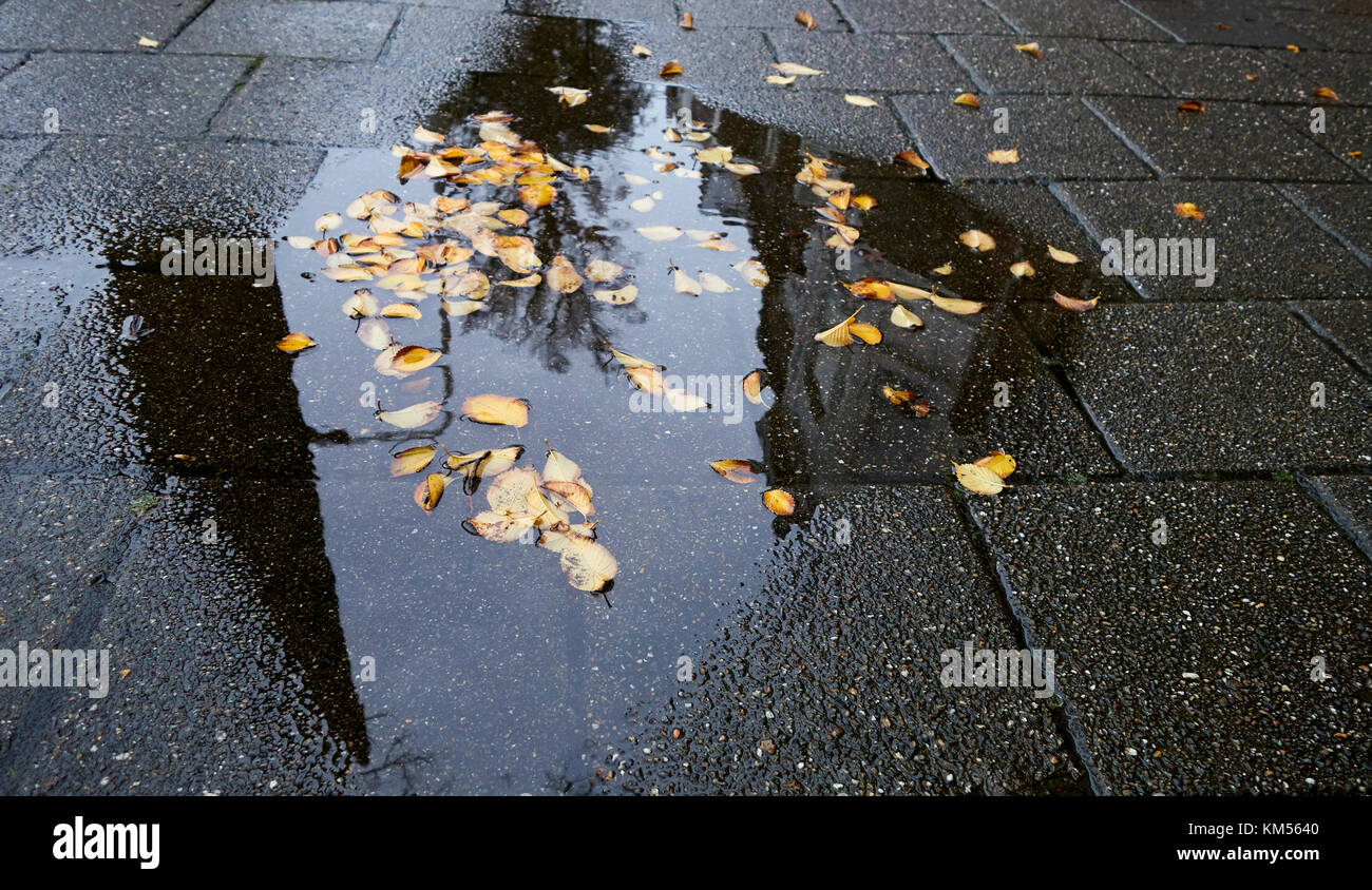 Les flaques d'eau avec des feuilles sur la rue à cause de la pluie à la fin de l'automne Banque D'Images