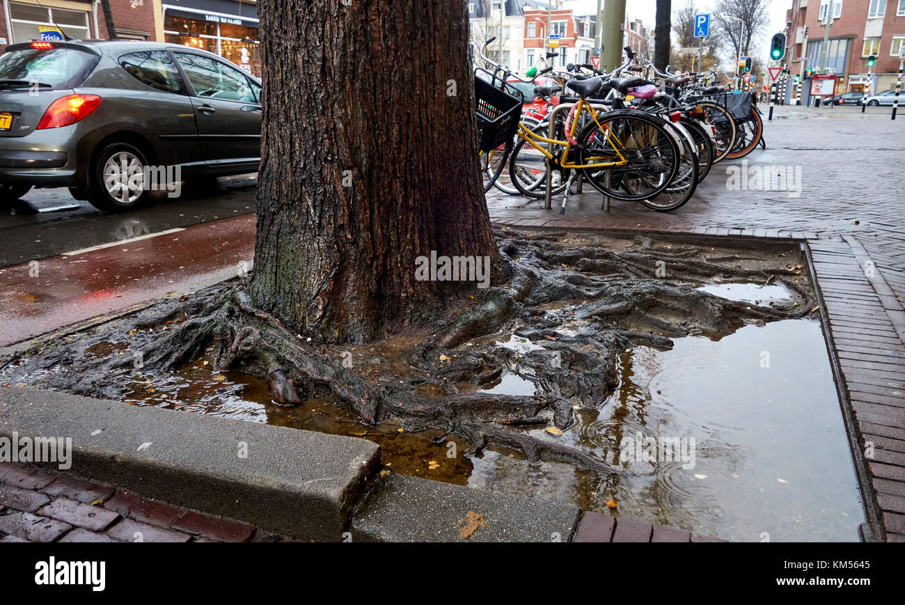 Flaques sur la rue à cause de la pluie Banque D'Images