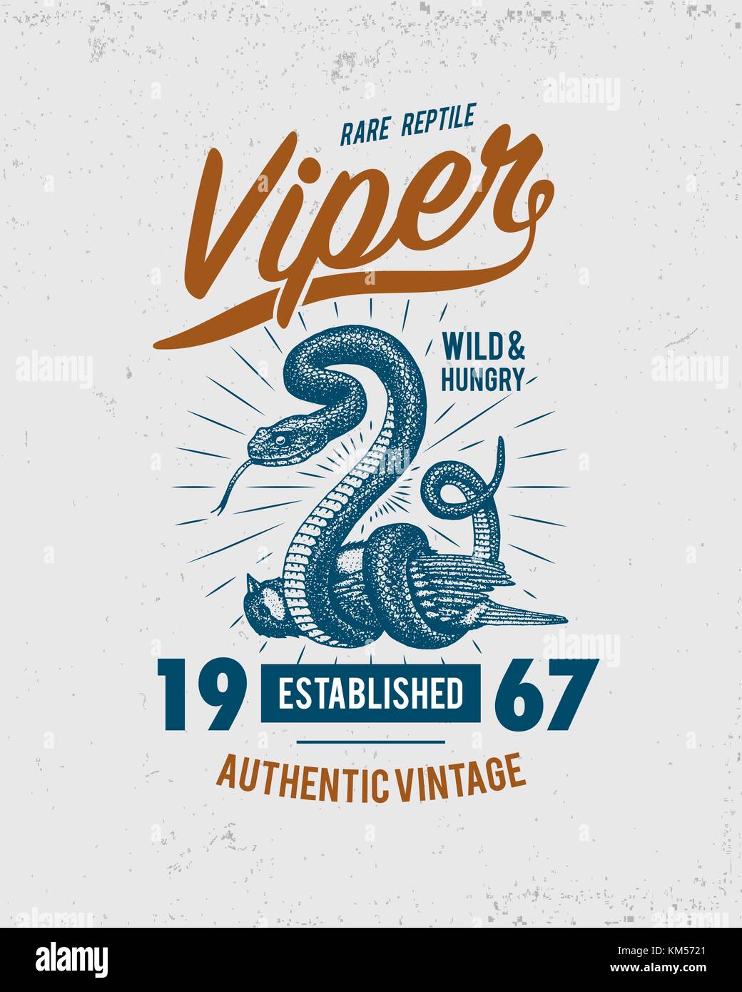 Serpent serpent viper. cobra et python, anaconda ou viper, royal. gravé à la main dans de vieux croquis, vintage style pour autocollant et tatouage. ophidian et ASP. imprimer pour t-shirt. Illustration de Vecteur