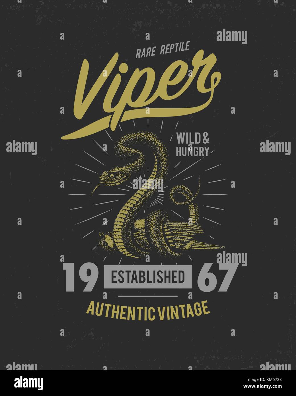 Serpent serpent viper. cobra et python, anaconda ou viper, royal. gravé à la main dans de vieux croquis, vintage style pour autocollant et tatouage. ophidian et ASP. imprimer pour t-shirt. Illustration de Vecteur