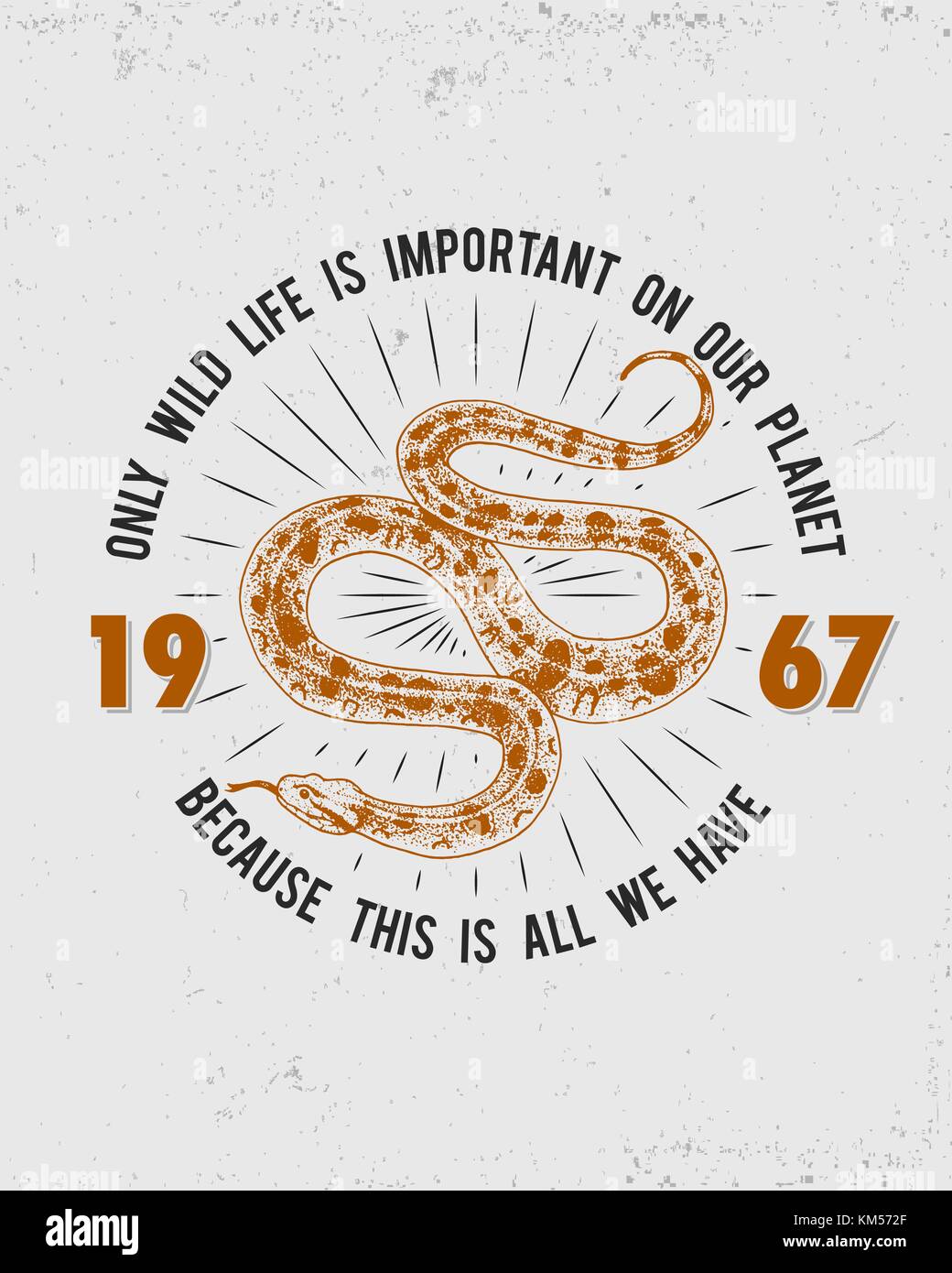 Serpent serpent viper. cobra et python, anaconda ou viper, royal. gravé à la main dans de vieux croquis, vintage style pour autocollant et tatouage. ophidian et ASP. imprimer pour t-shirt. Illustration de Vecteur