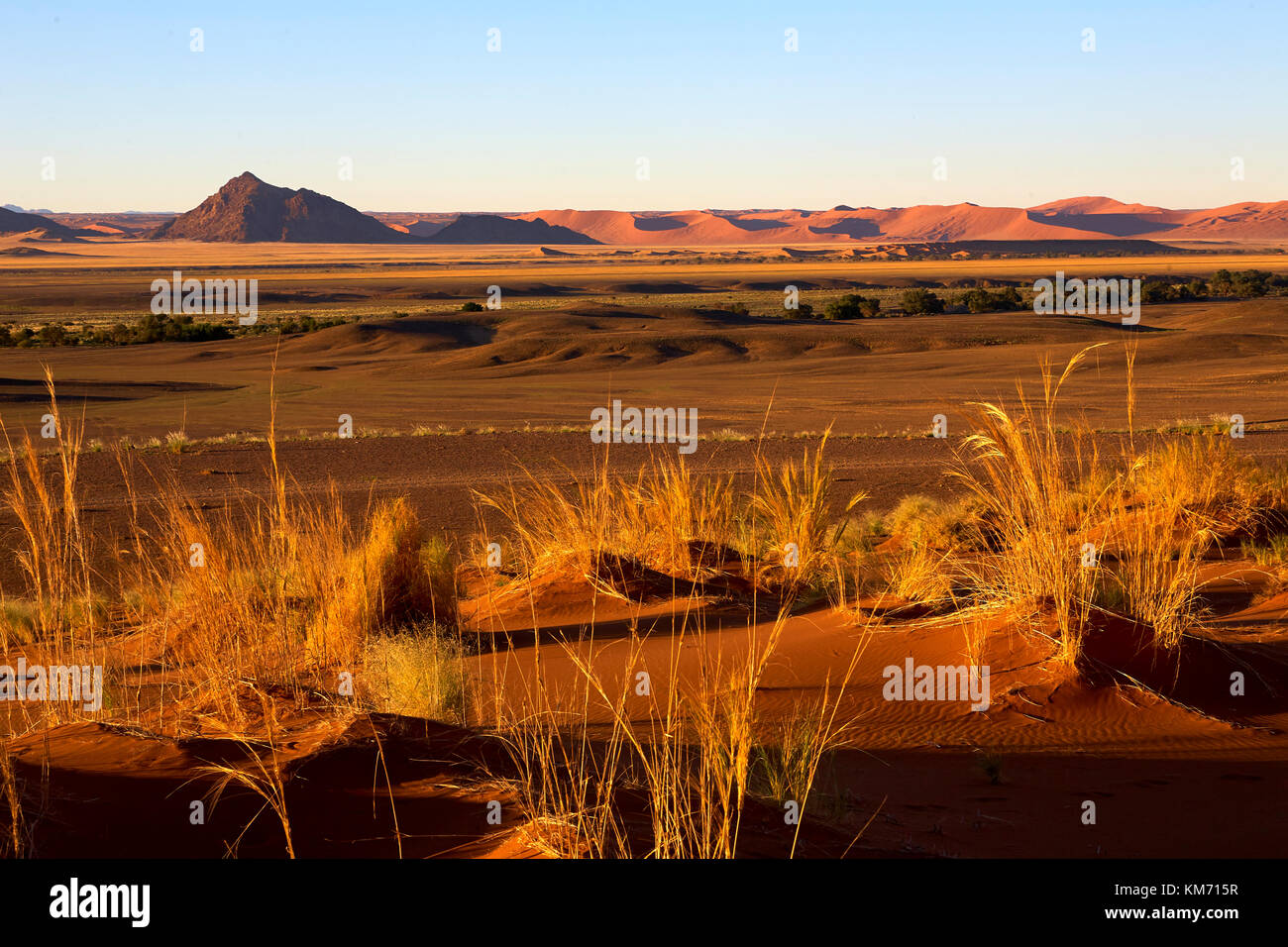 Les sites du désert namibien Banque D'Images