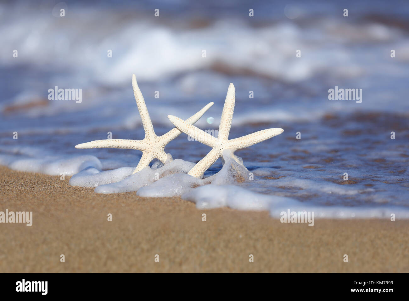 Deux étoiles dans le sable avec des vagues seafoam Banque D'Images