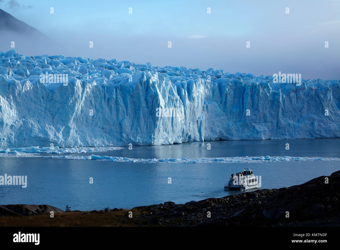 Bateau de tourisme et Perito Moreno, Parque Nacional Los Glaciares (zone du patrimoine mondial), Patagonie, Argentine, Amérique du Sud Banque D'Images