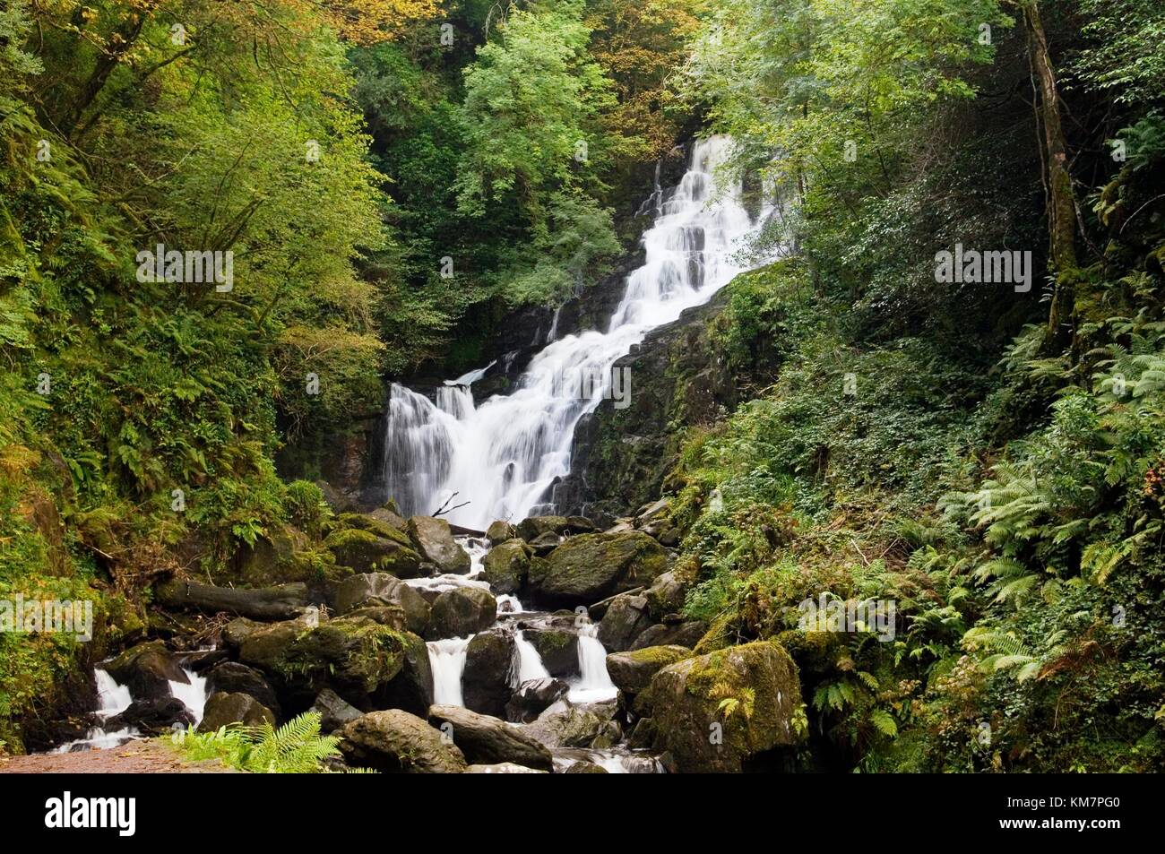 Chute d'eau Torc sur la rivière Owengarrif à côté du lac Muckross, parc national de Killarney, Irlande Banque D'Images