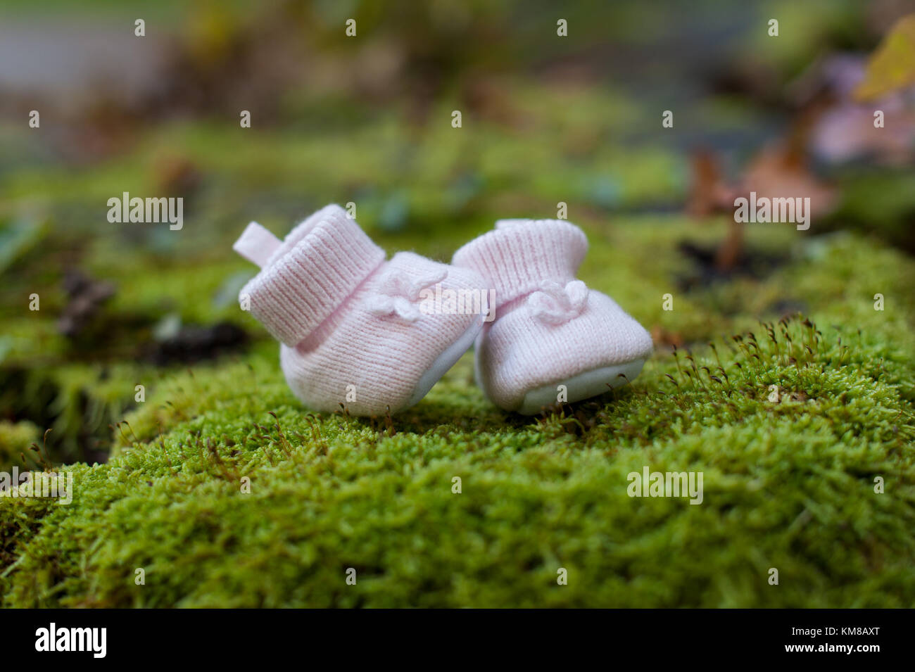 Chaussons bébé rose sur fond d'herbe verte chaussures de bébé. Banque D'Images