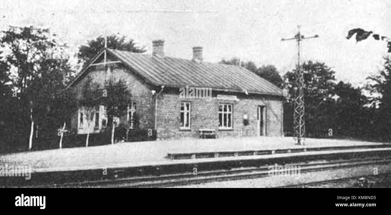 La gare de Hedsvigsdal en Suède est un important centre de transport, contribuant à la connectivité régionale. Elle joue un rôle clé dans le système de transport local et le développement de communityâ€™. Banque D'Images