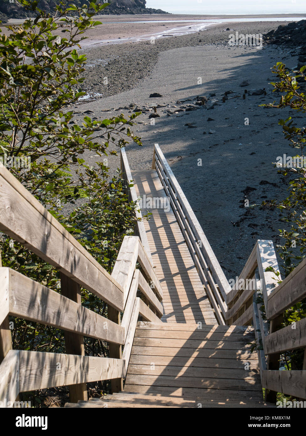 Escalier, plage de Point Wolfe, le Parc National de Fundy, Nouveau-Brunswick, Canada. Banque D'Images