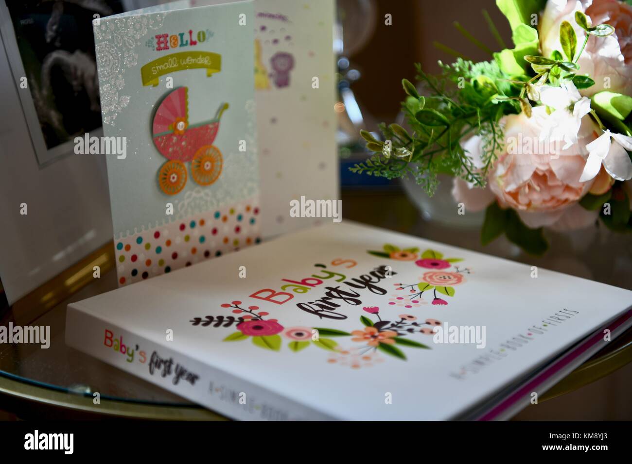 Livre De La Premiere Annee De Bebe Photo Stock Alamy