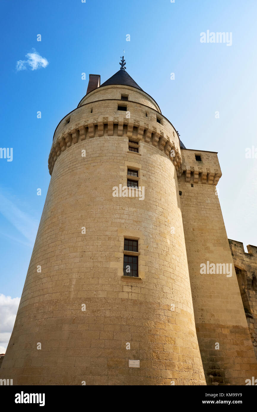 Le château médiéval de Langeais à Langeais, dans la vallée de la Loire. Banque D'Images