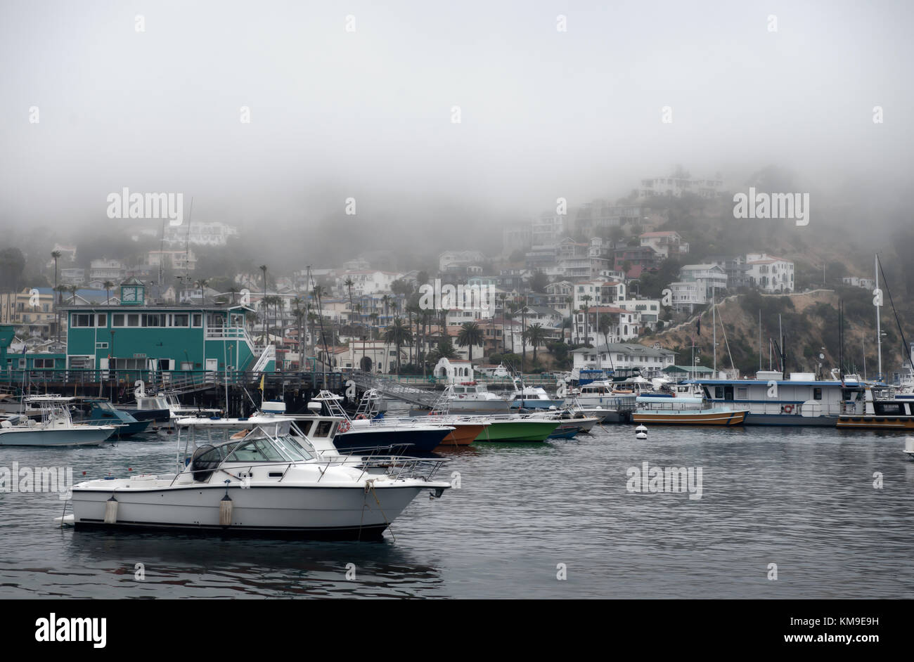 Avalon, Santa Catalina, Californie, États-Unis Banque D'Images