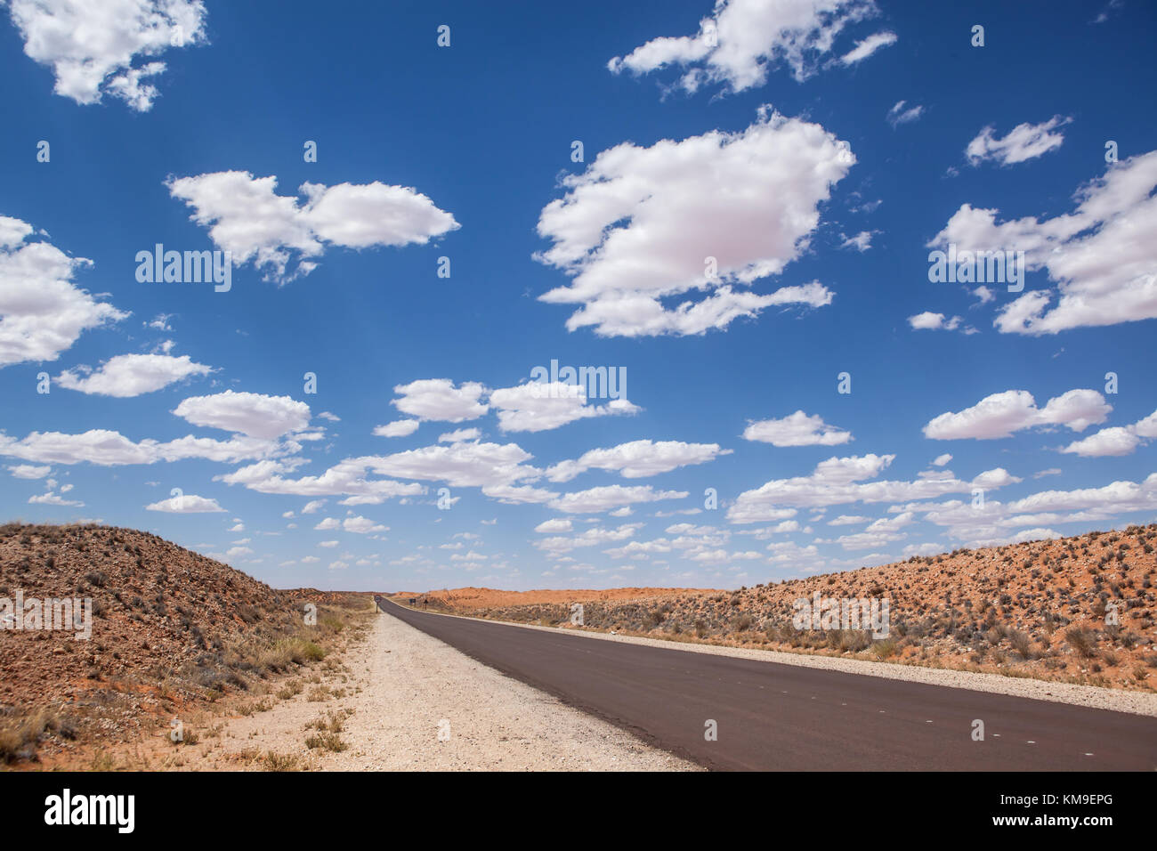 Route à travers le parc transfrontalier de Kgalagadi, Afrique du Sud Banque D'Images