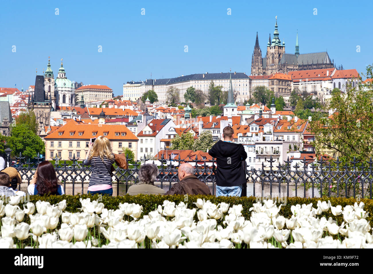 Place Krizovnicke, petite ville st., cathédrale Saint-Guy et château de Prague (UNESCO), Prague, République Tchèque - ville au printemps avec des tulipes fleurs Banque D'Images