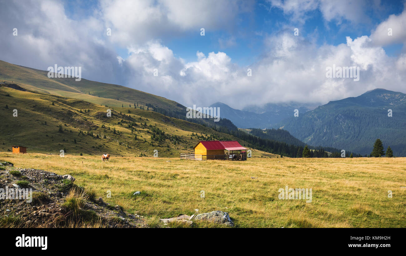 Shepherd cottage dans Parang montagnes, Transalpina, Roumanie. Banque D'Images