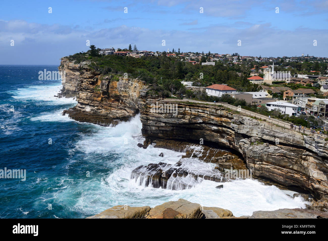 Falaises à gap bluff à Watsons Bay, une banlieue est de Sydney, New South Wales, Australia Banque D'Images
