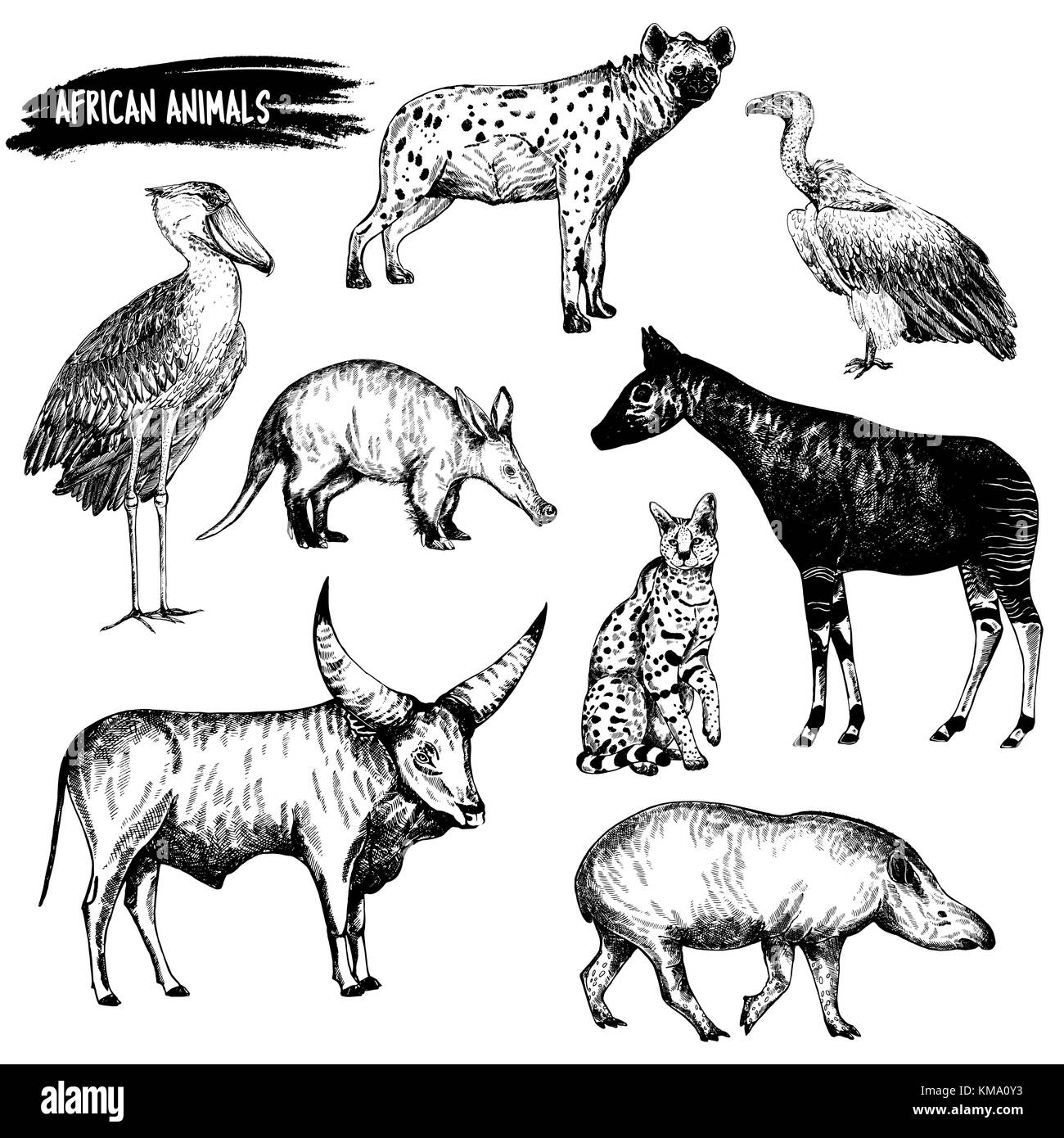 Jeu de croquis dessinés à la main, d'animaux - Bec-en-sabot, l'oryctérope, l'hyène, le vautour, Okapi, le serval, le tapir et les bovins watusi. vector illustration isolé sur blanc b Illustration de Vecteur