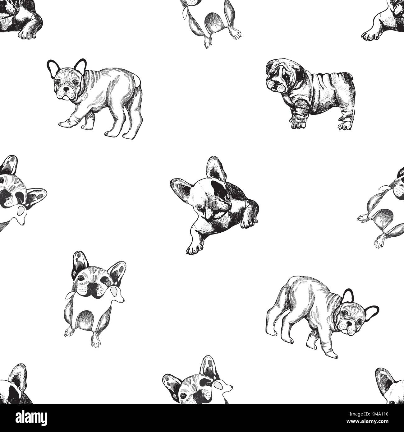 Modèle vectoriel continu de croquis à la main les bulldogs de style. Illustration de Vecteur