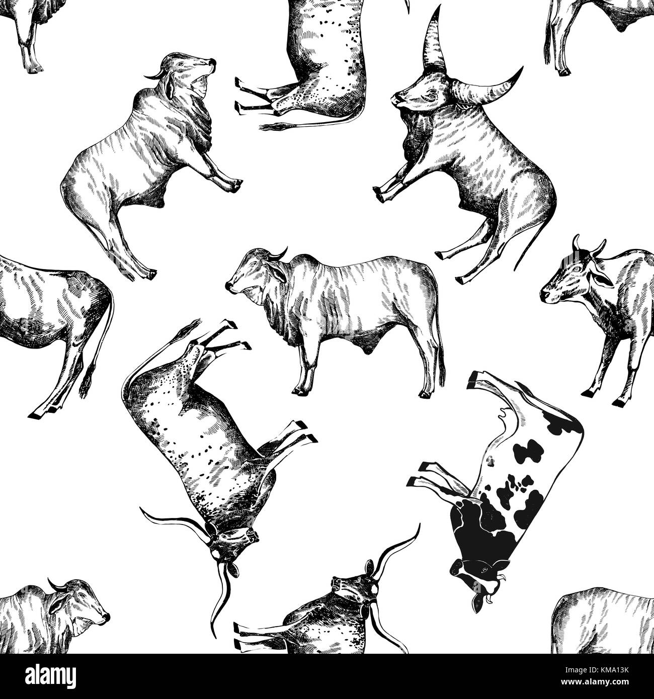 Motif de la main transparente style croquis bovins. vector illustration isolé sur fond blanc. Illustration de Vecteur