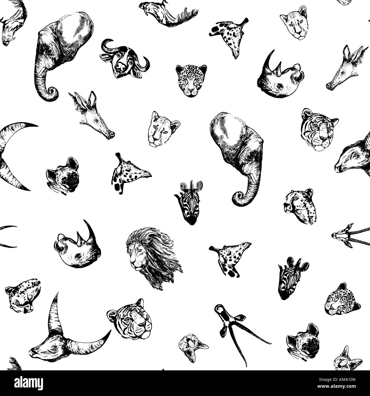 Motif de la main transparente style croquis d'animaux d'Afrique et d'Asie. vector illustration isolé sur fond blanc. Illustration de Vecteur