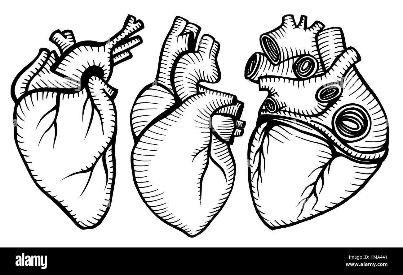 Un ensemble de cœurs humains. vector illustration dans le style gravure Illustration de Vecteur