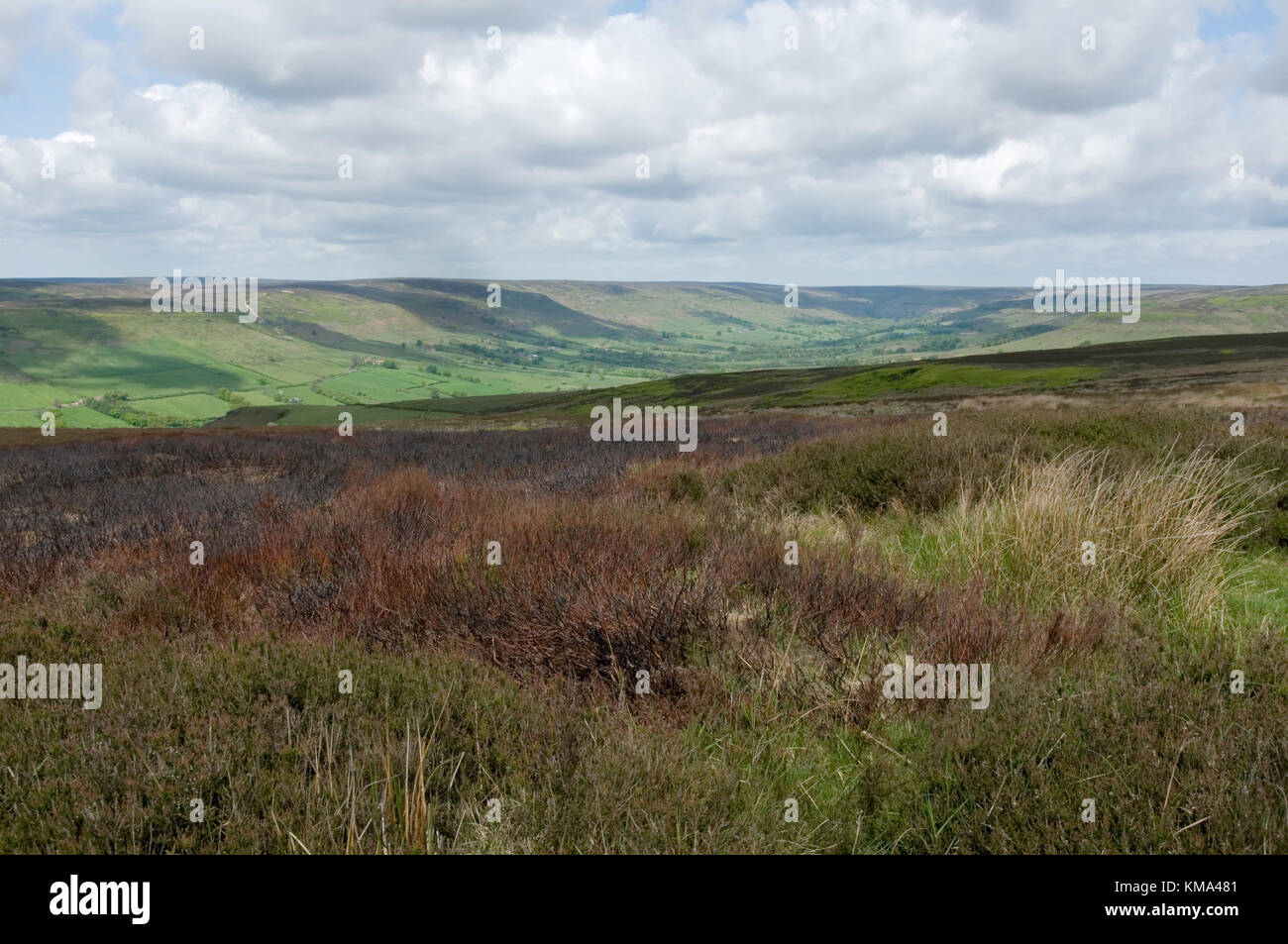 North Yorkshire Moors désert yorkshire paysage Heather Banque D'Images