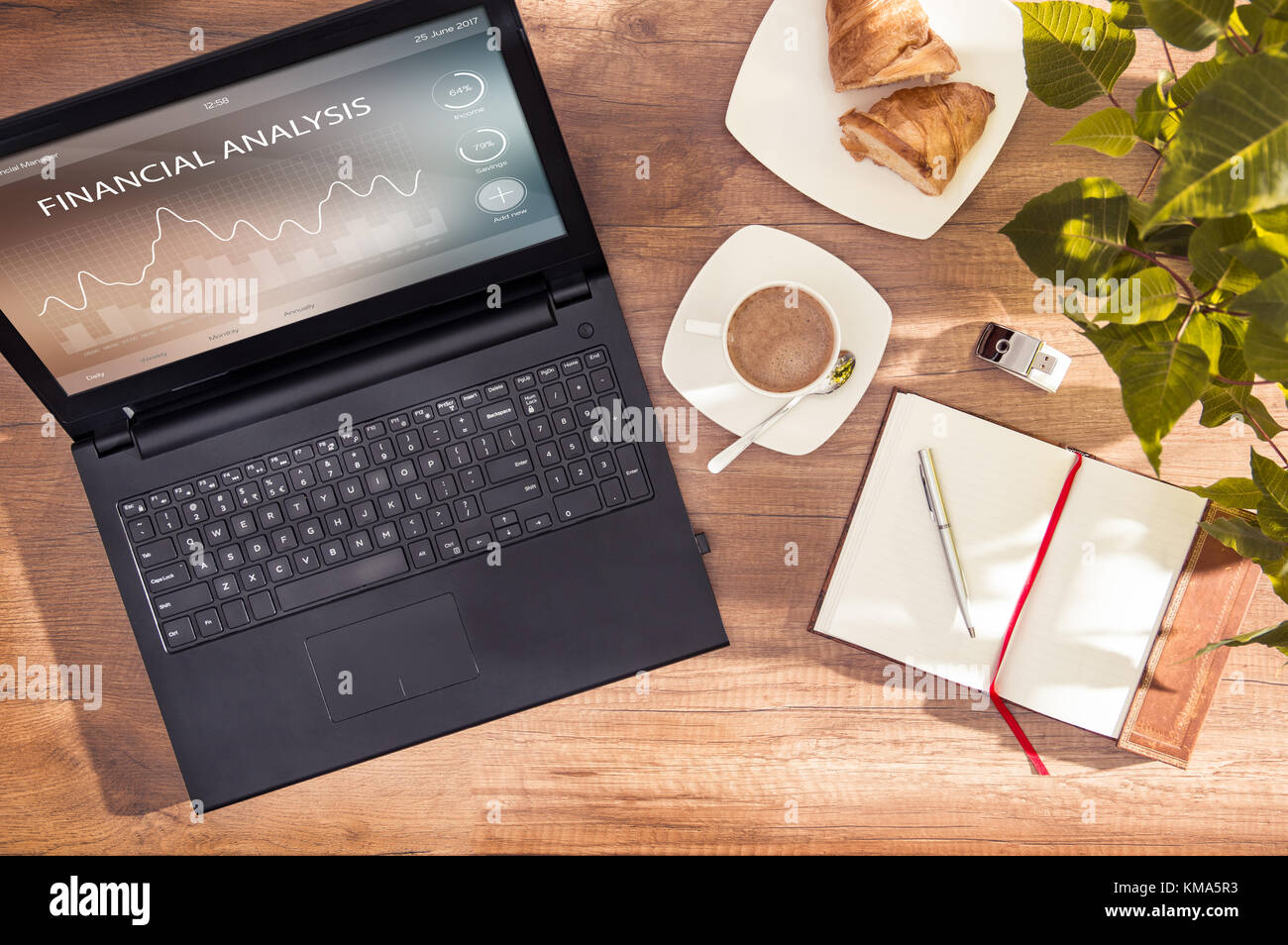 Ordinateur avec programme d'analyse financière en application de l'ordinateur programme graphique Banque D'Images