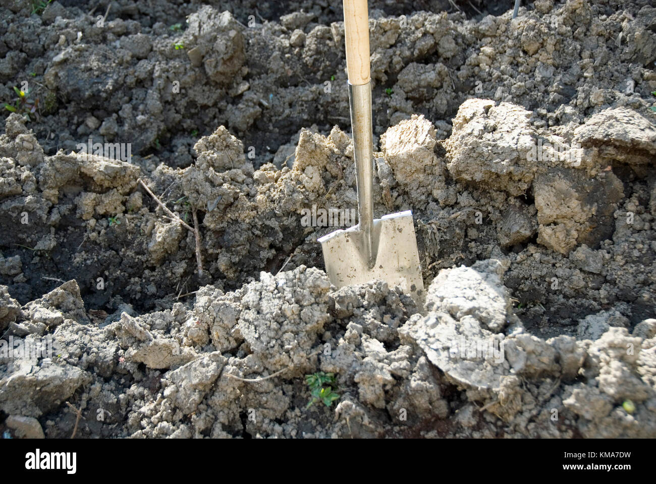 Jardinage du printemps : bêche au repos après une matinée passé tracer pour la plantation de pommes de terre Banque D'Images