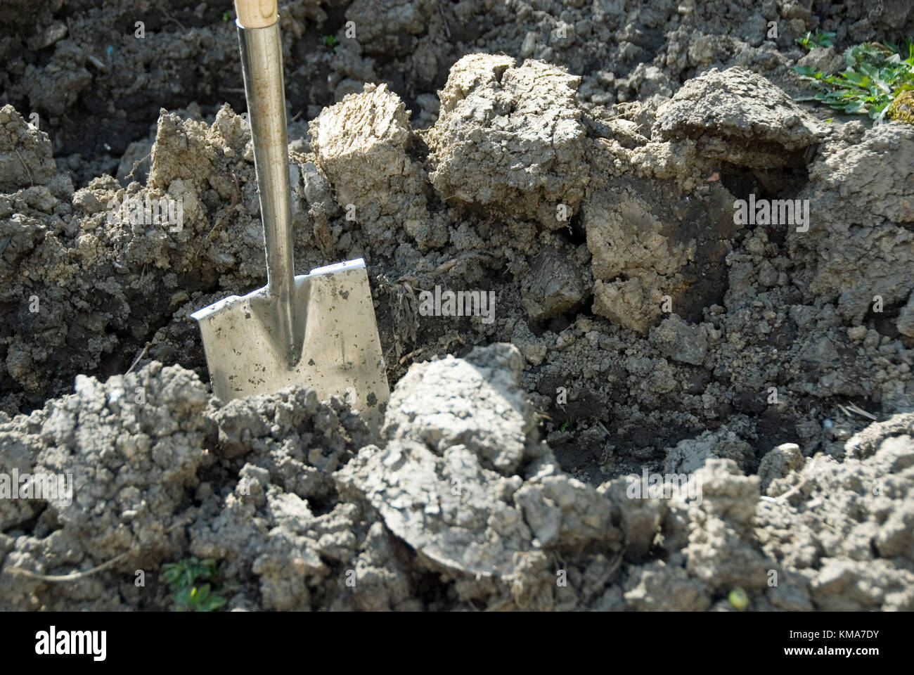 Jardinage du printemps : bêche au repos après une matinée passé tracer pour la plantation de pommes de terre Banque D'Images