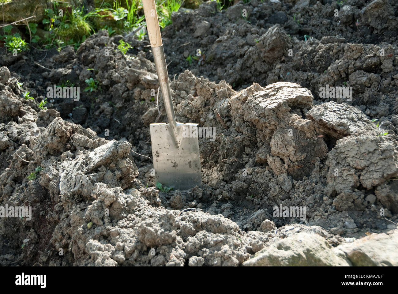 Jardinage du printemps : bêche au repos après une matinée passé tracer pour la plantation de pommes de terre Banque D'Images