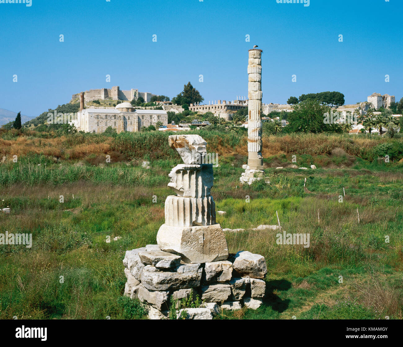 La Turquie, Ephèse (Selcuk moderne). Temple d'Artémis ou Artemision. Temple grec. L'une des 7 merveilles du monde antique. Le côté droit de la maison aujourd'hui. Banque D'Images