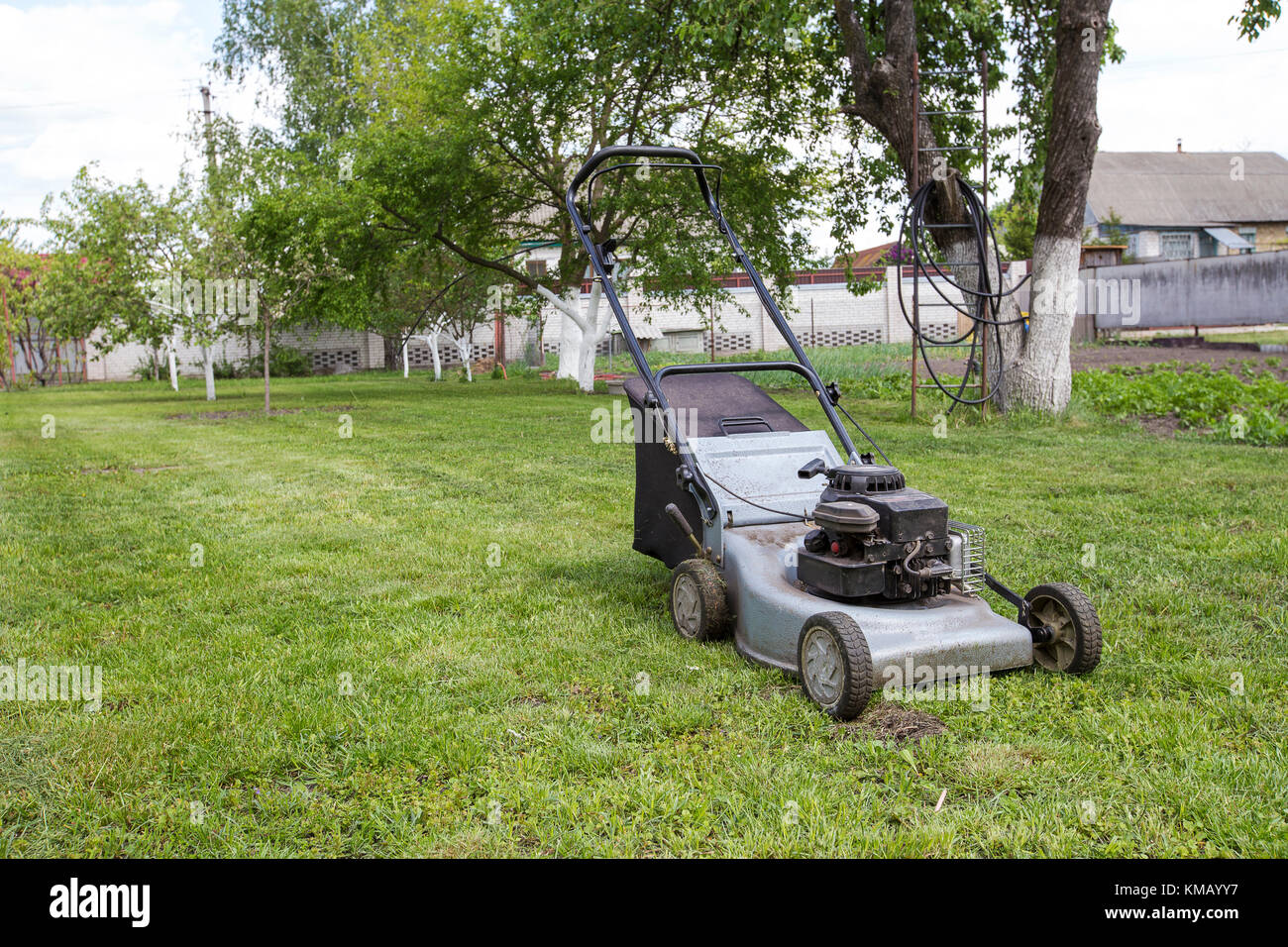 Tondeuse dans le jardin Banque D'Images